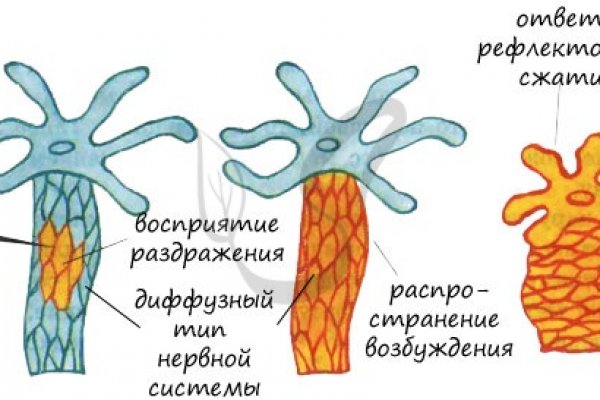 Kraken это гидра