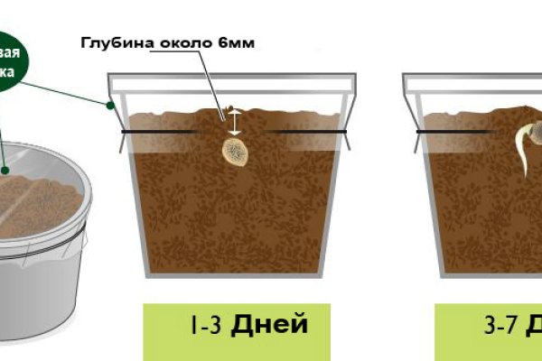 Официальная тор ссылка кракен сайта